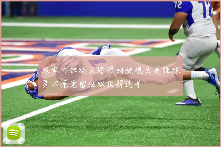 绿军内部观点塔图姆被视为更强球员不愿意留住双顶薪选手