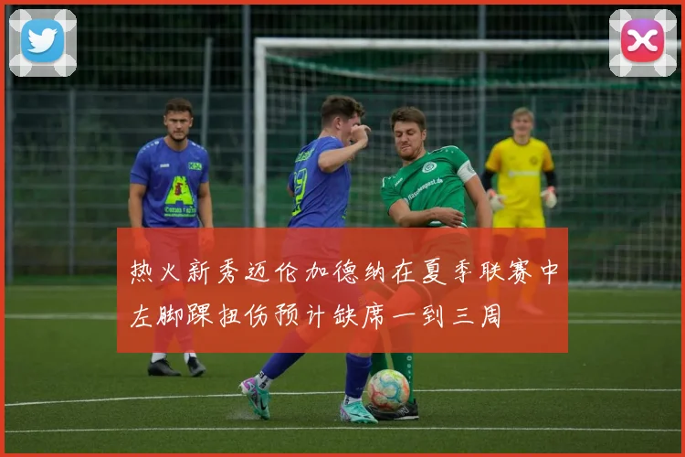 热火新秀迈伦加德纳在夏季联赛中左脚踝扭伤预计缺席一到三周