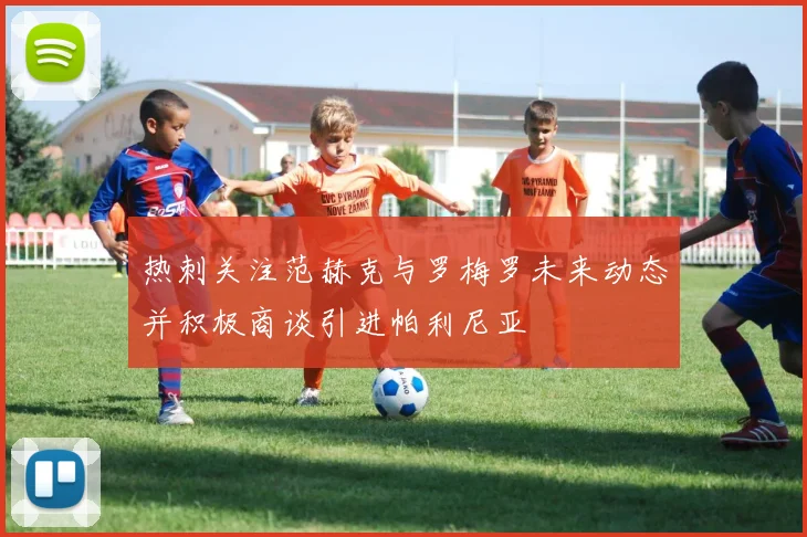 热刺关注范赫克与罗梅罗未来动态并积极商谈引进帕利尼亚