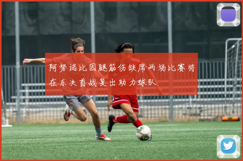 阿努诺比因腿筋伤缺席两场比赛将在东决首战复出助力球队